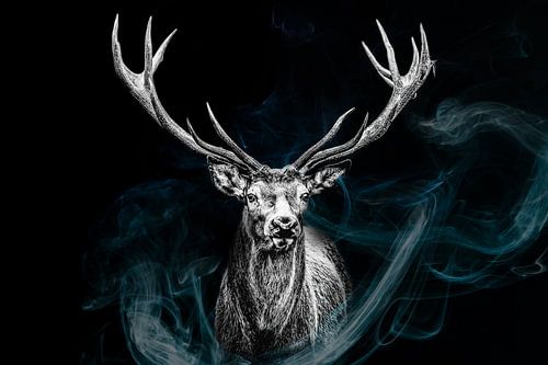 Portrait d'un cerf en noir et blanc sur un fond noir sur Annabell Gsödl