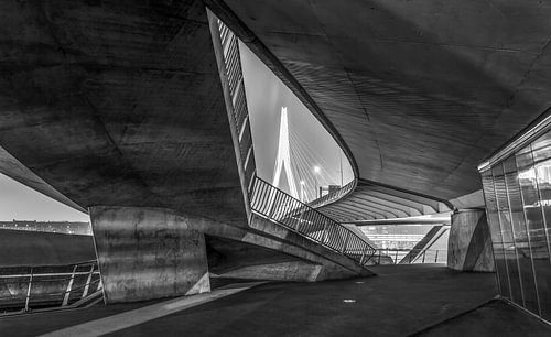 Onder de Erasmusbrug in Rotterdam