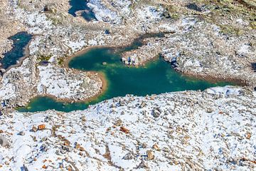 L'oiseau des glaciers sur Christa Kramer