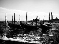 Venetie