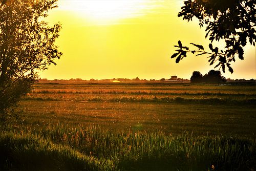 Zonsondergang in Nieuwkoop