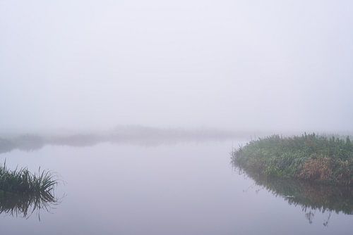 Mist in de uiterwaarden van de Rijn bij Amerongen