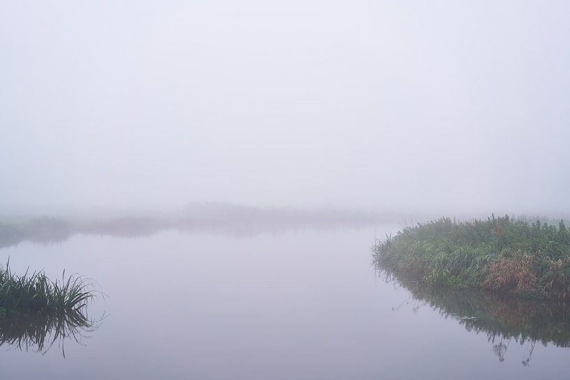 Mist in de uiterwaarden van de Rijn bij Amerongen par Richard de Boorder