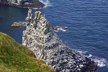 L'île de Rathlin est idéale pour une excursion d'une journée afin de profiter simplement de la solit