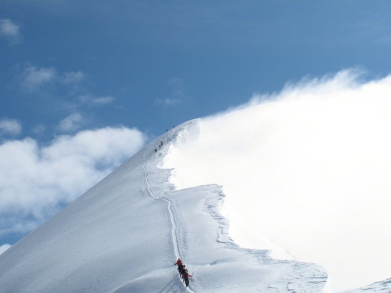 Cold Summit van menno visser