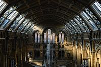 Beautiful architecture behind the blue whale