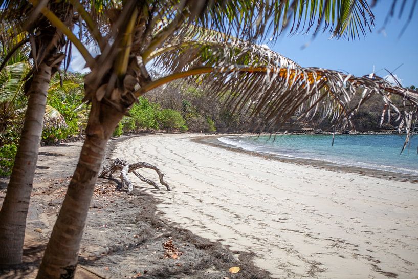 Strand in Grenada (Caraïben) van t.ART
