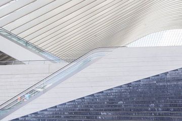 Architectuur Liège-Guillemins, station Luik, ontworpen door Calatrava. van Shaquille Maarschalkerweerd