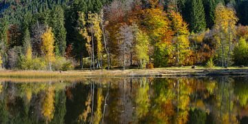 Automne à l'étang Moorweiher près d'Oberstdorf