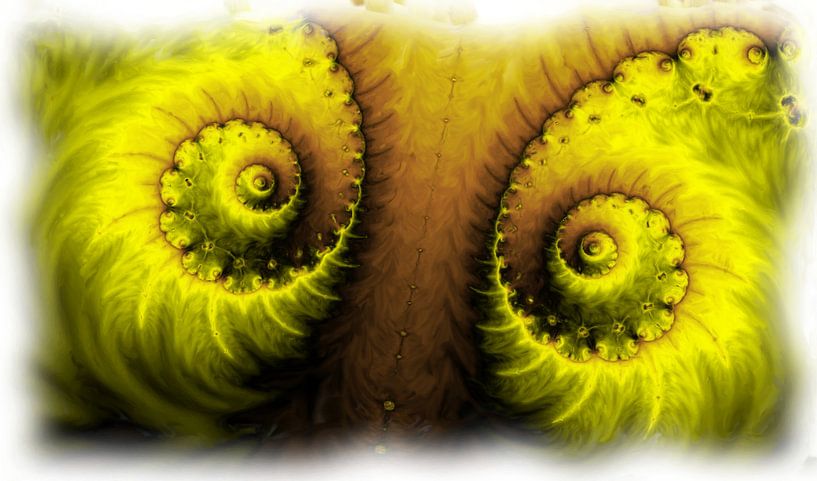 Fractale de Mandelbrot par Maurice Dawson