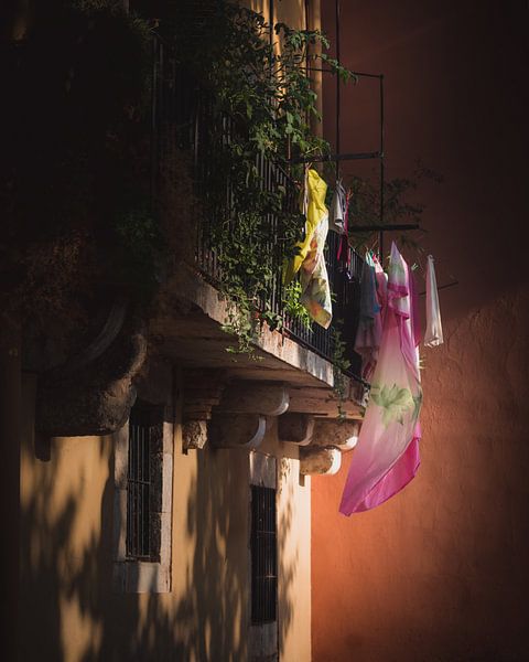 Laundry on balcony dark & moody van Sandra Hazes