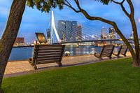 Open Erasmus bridge on early morning Rotterdam