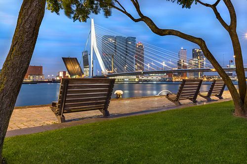 Offene Erasmusbrücke am frühen Morgen Rotterdam