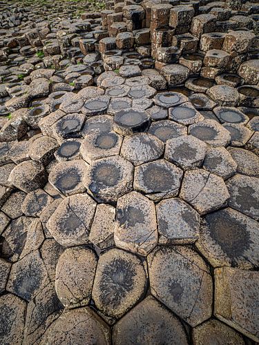 Zeshoekige basaltzuilen - Giant's Causeway in Noord-Ierland