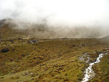 'Weg van de Inca's, Peru von Martine Joanne