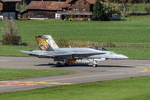 Schweizer Boeing F/A-18C Hornet.