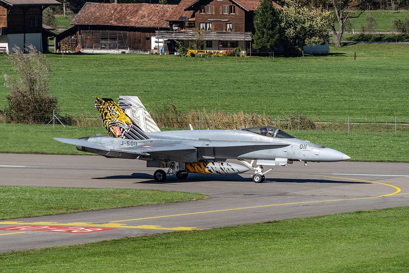 Schweizer Boeing F/A-18C Hornet. von Jaap van den Berg