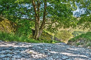 Gravel road in the Lake District