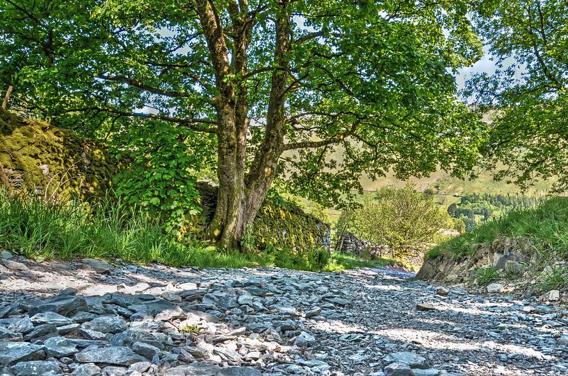 Landweg in het Lake District van Frans Blok