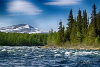 The River