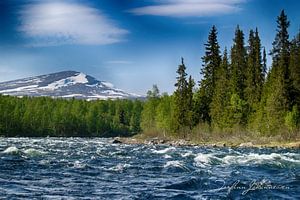 Le fleuve