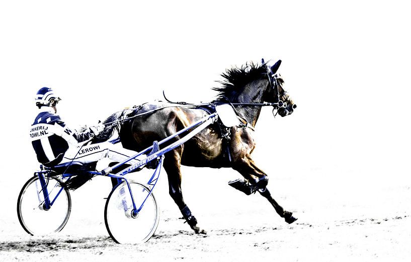 Full speed von Henk Ravenhorst