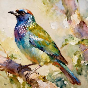 Die schönsten Vögel der Welt - Prachtkotinga Vogel1 von Johannas Art Creations