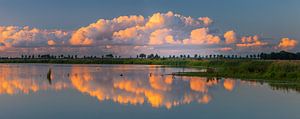 Panoramafoto des Naturschutzgebietes 't Roegwold, Groningen