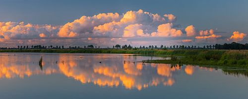 Panorama foto van natuurgebied 't Roegwold, Groningen