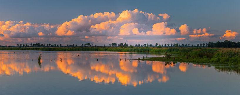 Panorama photo of nature reserve 't Roegwold, Groningen by Henk Meijer Photography