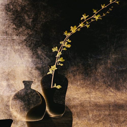 Essentie van Sereniteit: Minimalistische Schoonheid in Gedempte Tonen