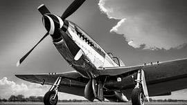 the P51 by Frank Peters