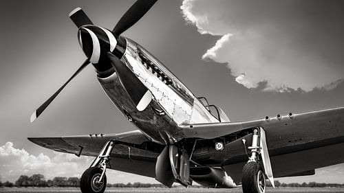 la P51 sur Frank Peters