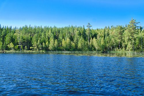 Meer in Zweden met witte wolken, blauw water en bomen aan de oever