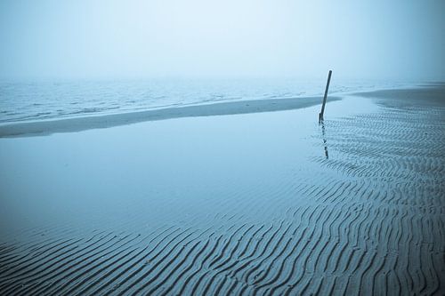 Blue lines