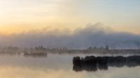 Du brouillard sur l'étang. par Anneke Hooijer Aperçu