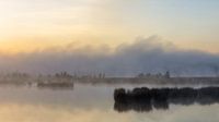 Fog over the fen.
