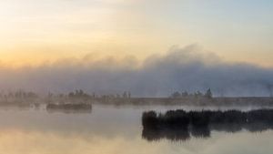 Mist boven het ven.