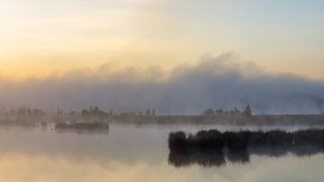 Du brouillard sur l'étang.