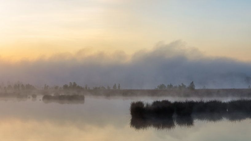Du brouillard sur l'étang. par Anneke Hooijer