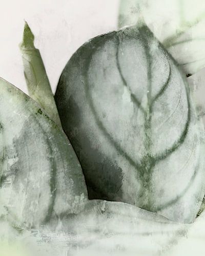 Zacht plantenblad