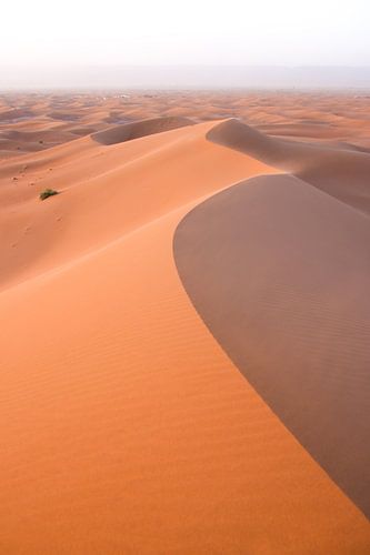 Bocht in Zandduin: Sikkelduinen in de Sahara