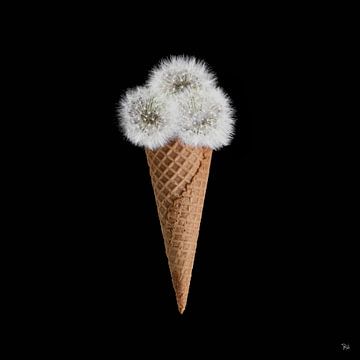Soft Ice - Conceptueel foto werk van Michel Rijk