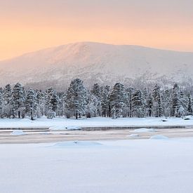 Winterpanorama der Berge von Schwedisch-Lappland von Krijn van der Giessen