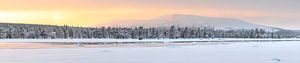 Winters panorama van de bergen van Zweeds Lapland