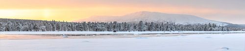 Winters panorama van de bergen van Zweeds Lapland