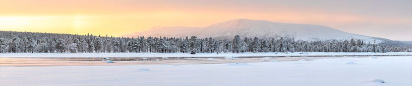 Winter panorama of the mountains of Swedish Lapland by Krijn van der Giessen