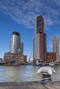 Kop van Zuid Rotterdam van René Brand thumbnail
