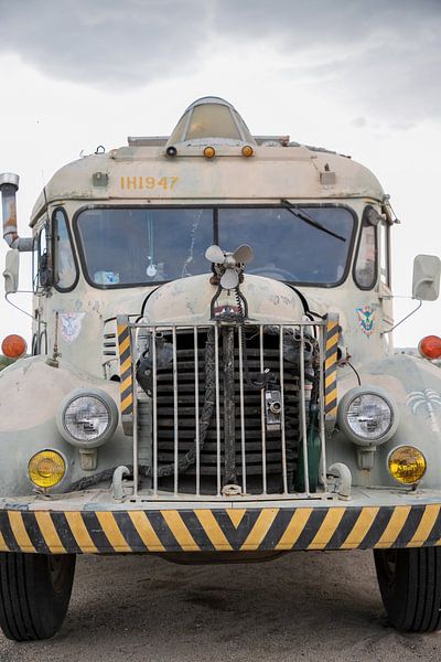 Amerikanischer Bus Mad Max von Ton Tolboom