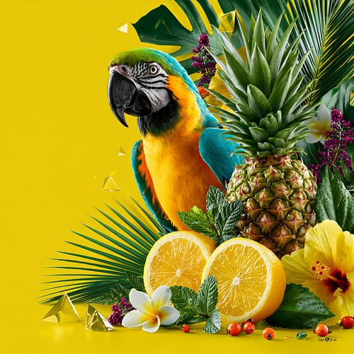 Tropical Bird by Gelissen Artworks